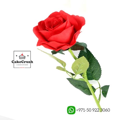 Red Rose in dubai
