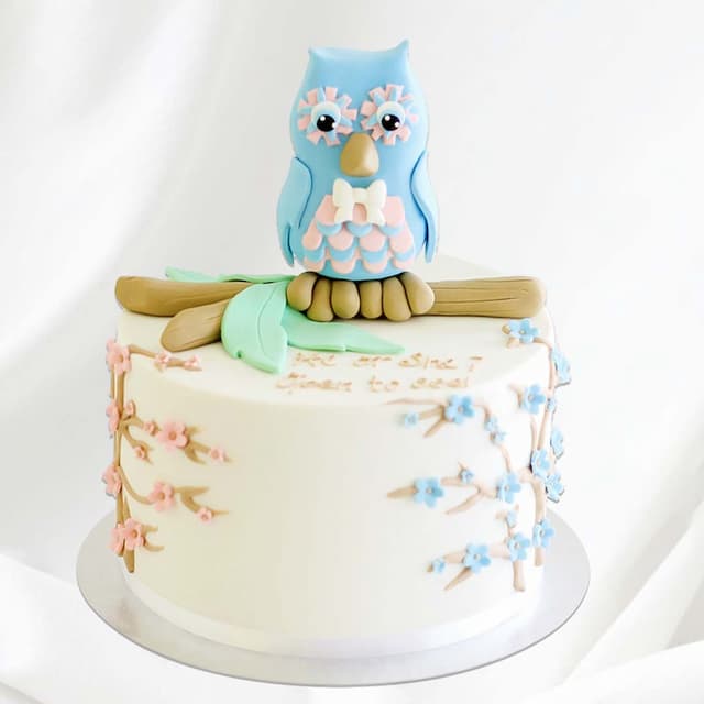 OWL THEME CAKE